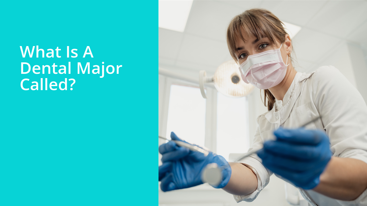 What is a dental major called?